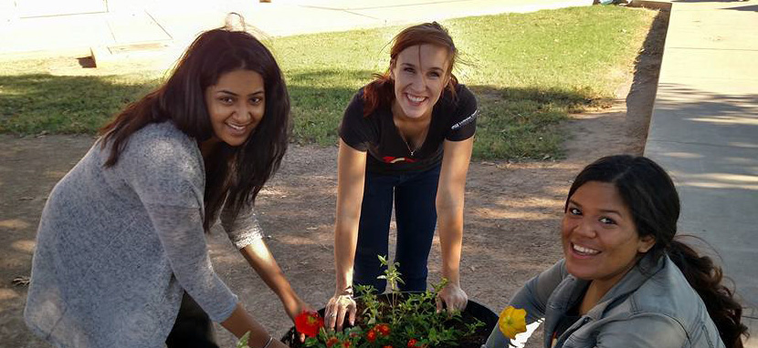 3 people smile while planting flowers.