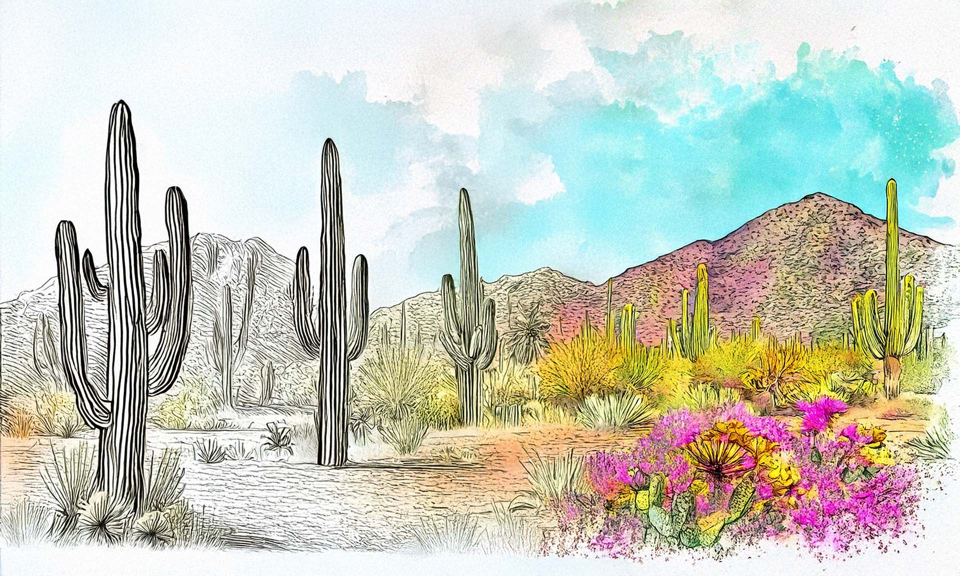 Watercolor painting of Sonoran Desert