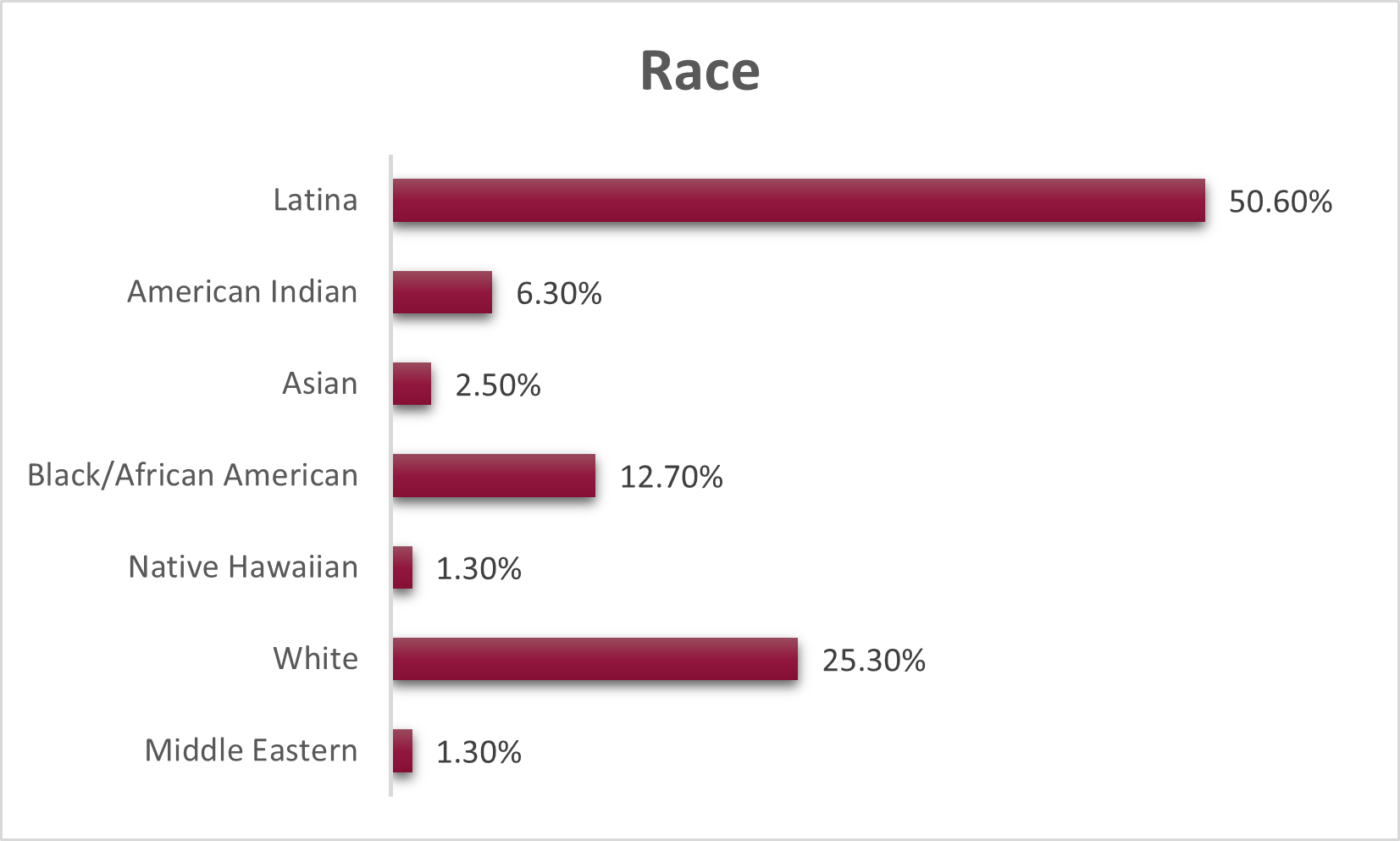 Race demographics of College Program students