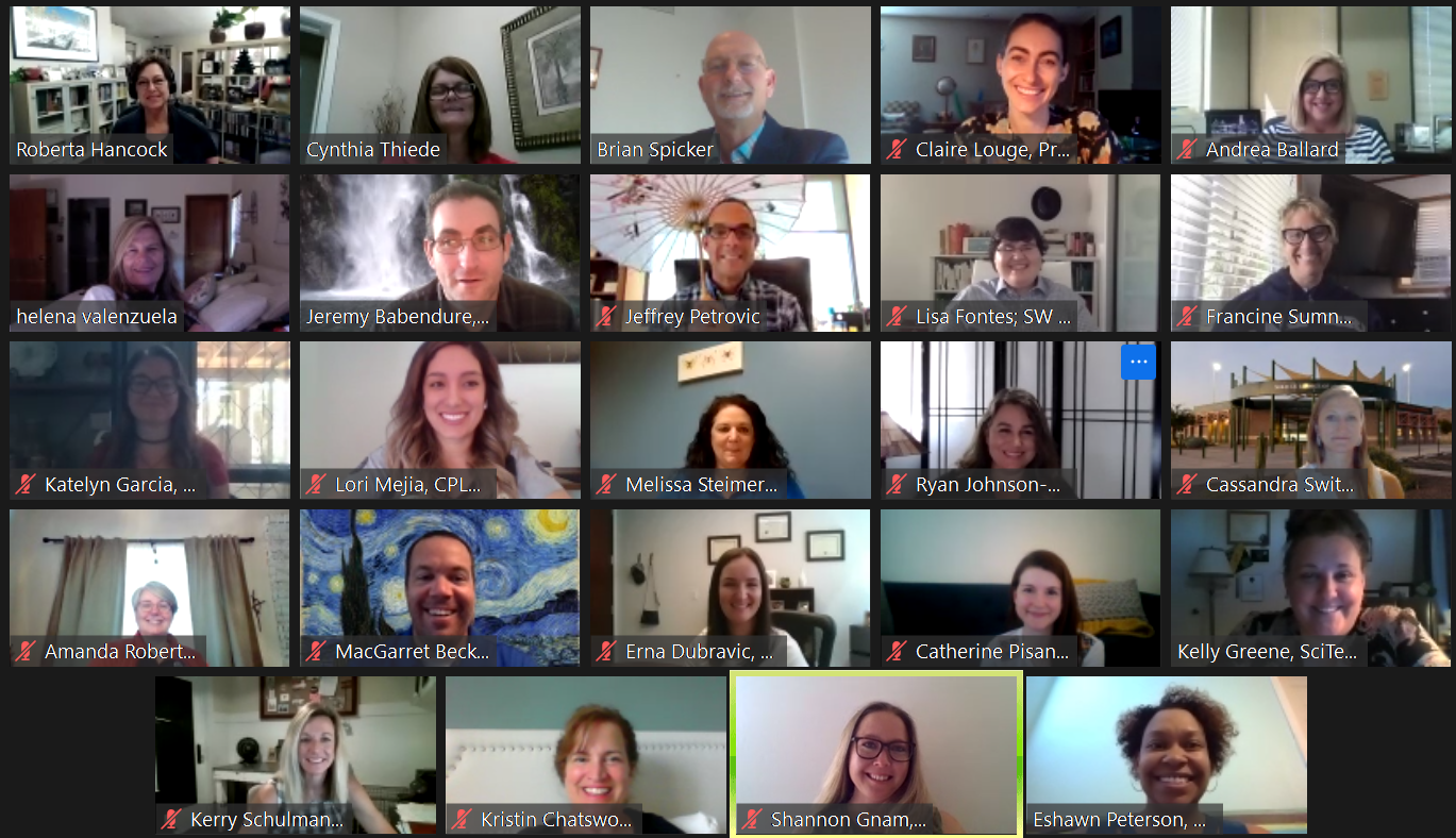 24 people meet virtually on a zoom conference.
