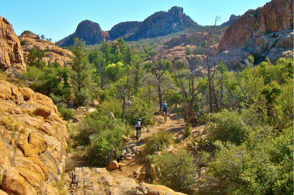 4 hikers hike through an Arizonan trail in the afternoon. In the background a rocky mountains. The terrain directly around the hill is full of green trees.