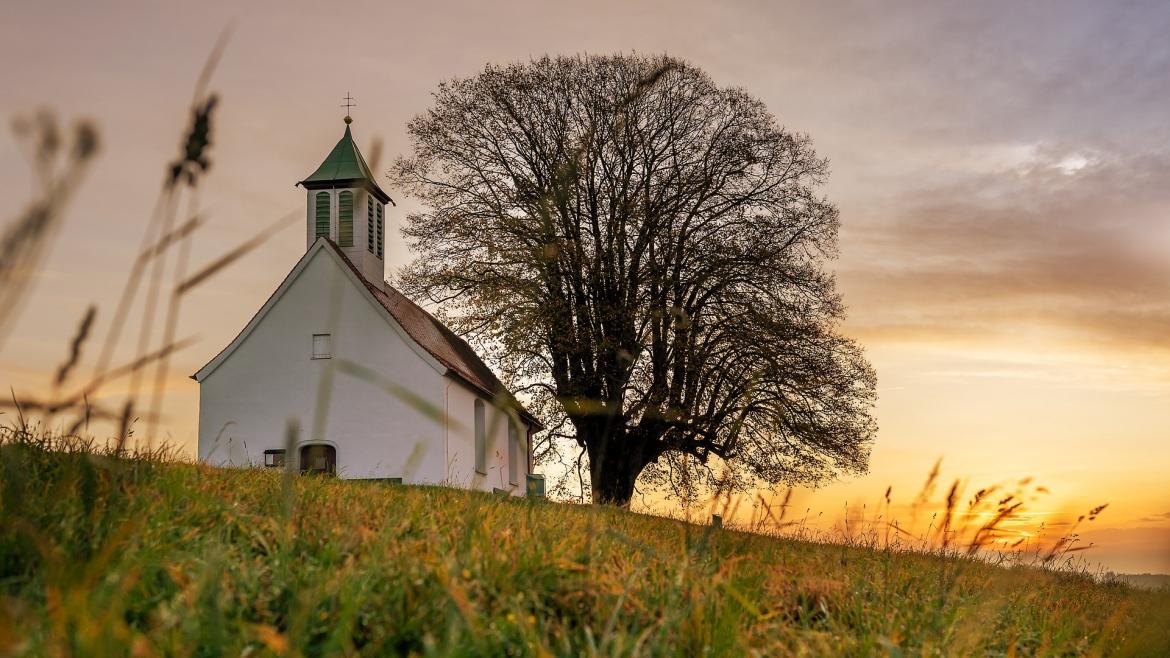 A small white church next to a tree on a hill. A sunset is in the background.